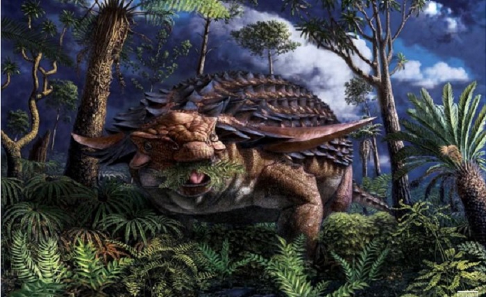 Fossilised stomach contents show armored dinosaur's leafy last meal