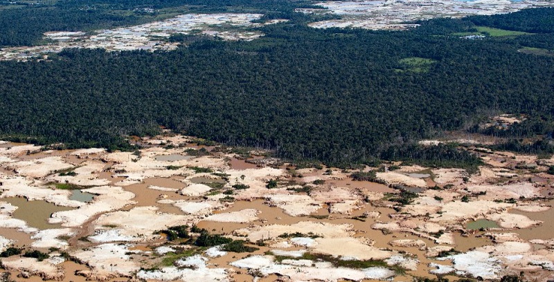 Football Field of Rainforest Destroyed Every Six Seconds