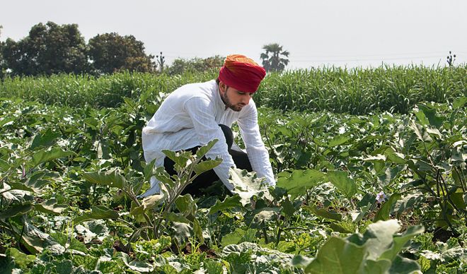 Farm reforms may hit Punjab’s tax collection