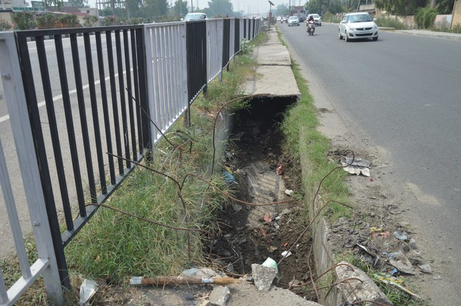 Choked storm water drains cry for attention in Ludhiana