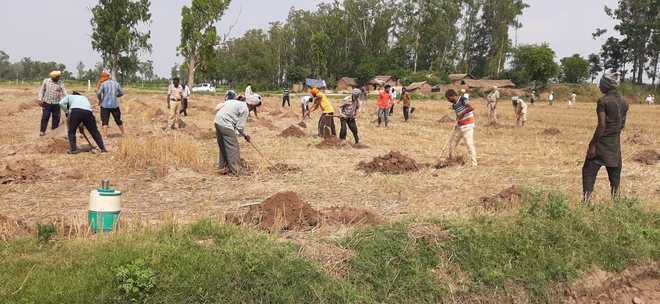 Encroachments removed from forest land