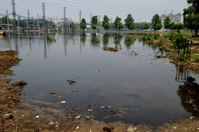 Chandigarh Road: Waterlogging persists despite complaints