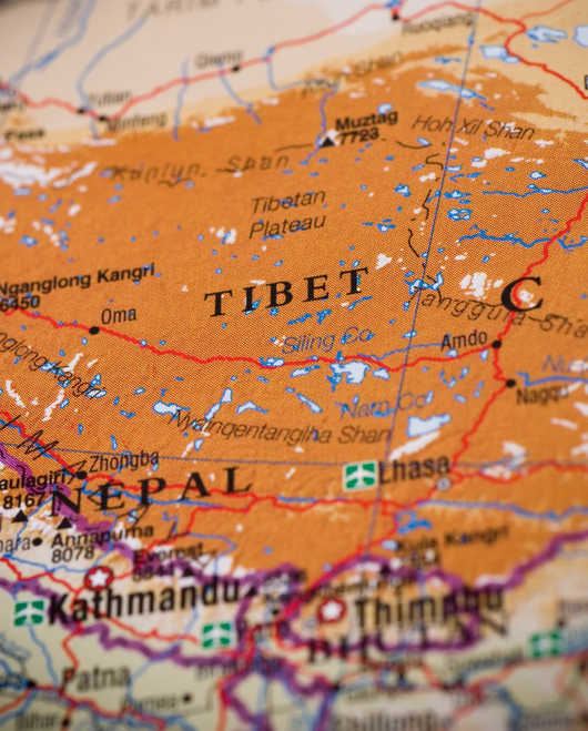 Recognise Tibet as country: NGOs