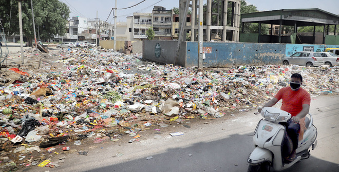 Garbage dots roadsides as Jalandhar MC fails to pay dues to firm
