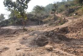 Forest Department frees 69.4 acres from encroachers