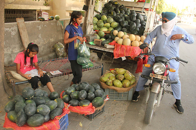 Sisters sell fruit on roadside to support ailing father