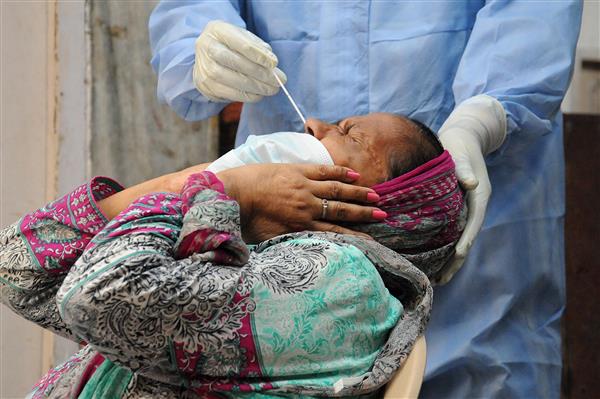254 new coronavirus cases take Punjab tally past 10K; state reports 8 new fatalities