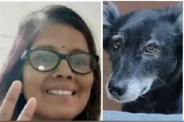 Bereaved dog jumps off fourth floor in Kanpur after master passes away