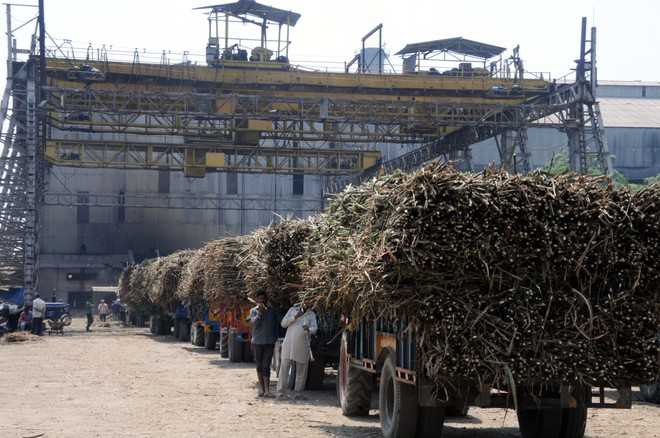 Sugar mills in Punjab