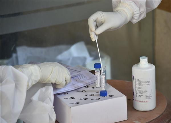 Ludhiana reports 41 new coronavirus cases, Punjab records 101