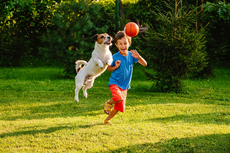 Pet dogs may improve social-emotional skills in young kids