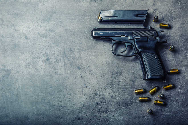 Inebriated Himachal man shoots dead wife in a fit of rage