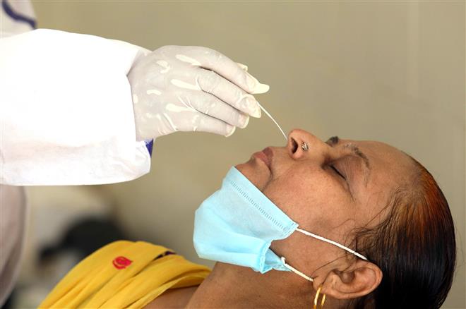 Punjab reports 350 new coronavirus cases, 7 deaths in 24 hours