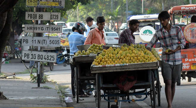 55 vendors challaned in Chandigarh