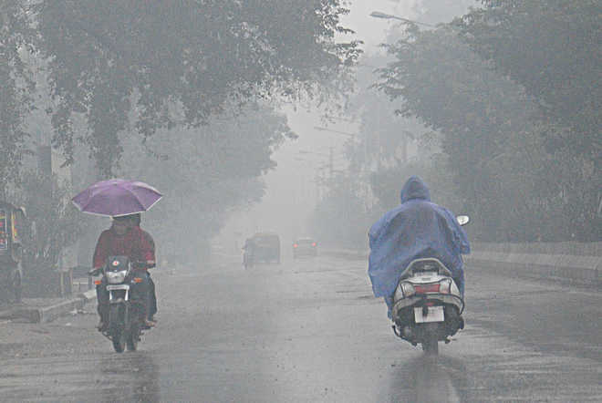 Rain, high-velocity winds lash Delhi; more expected
