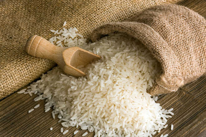 Madhya Pradesh CM seeks GI tag for MP’s basmati rice