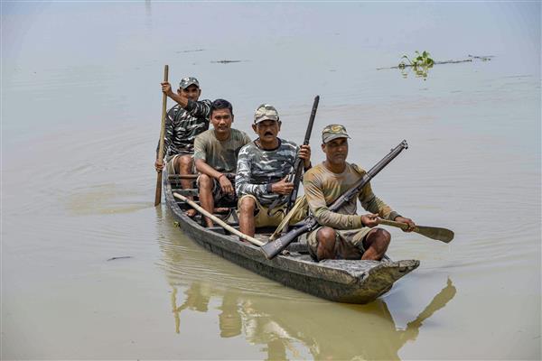 22 of 33 Assam districts affected by flood, toll rises to 34