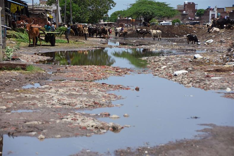 Monsoon maladies to aggravate residents’ woes