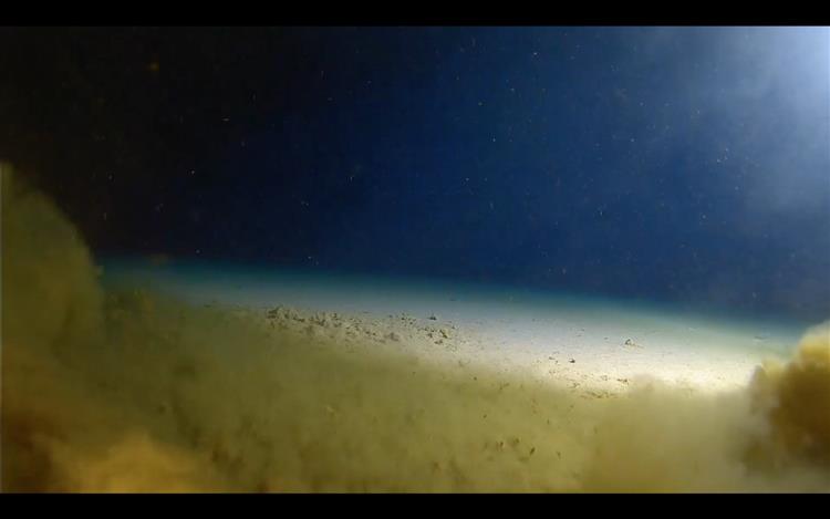 Deepest point on Earth Mariana Trench is also the scariest! Find out why?