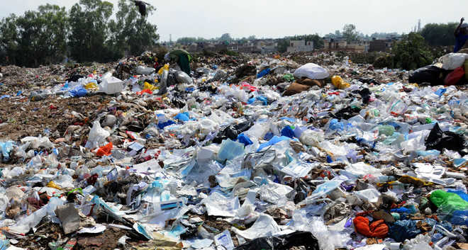 Chandigarh Municipal Corporation  to dump 25K tonnes of waste at Dadu Majra ground
