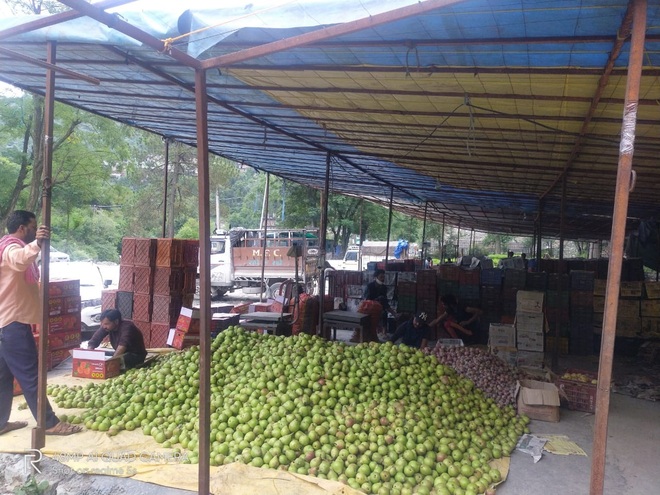 Banjar apple, veggie growers demand marketing yard