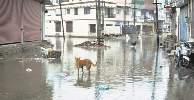 Rain exposes Patiala Municipal Corporation’s claims