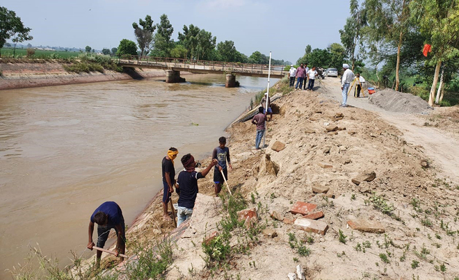 Rain damages canal banks in Ferozepur, farmers edgy