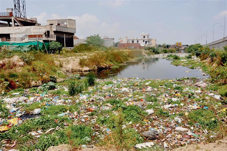 Tung Dhab drain raises stink in Amritsar, poses health hazard to residents