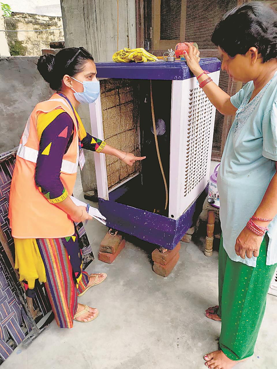 Team finds dengue larvae in 1,242 houses, 68 fined in Hoshiarpur