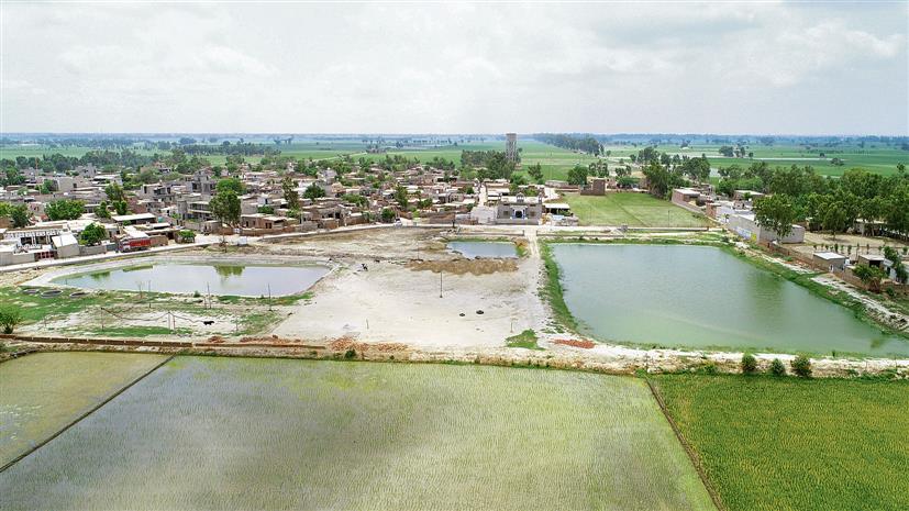 Filthy pond turns into lake: Two young men change the face of their village