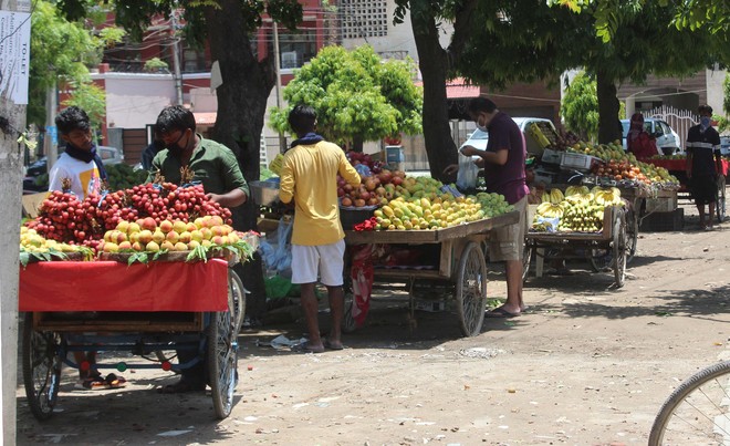 Illegal fruit, veggie markets mushroom in Mohali