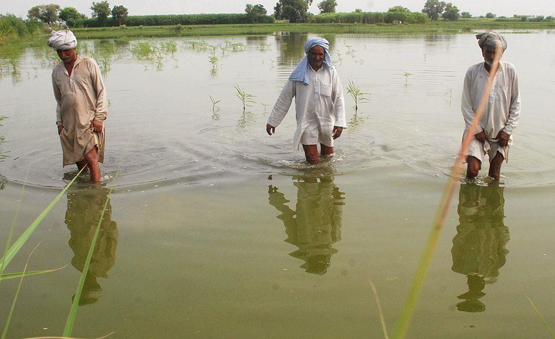 100 Rohtak villages waterlogged