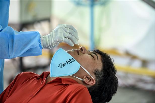 Mohali records 95 new coronavirus cases in highest spike yet