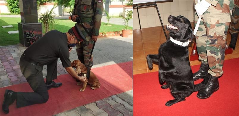 ‘Sophie’ and ‘Vida’, the award-winning Army dogs, find mention in PM’s ‘Mann Ki Baat’