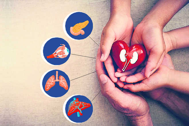 Put all adults in organ donor registry: Varun Gandhi to move Bill