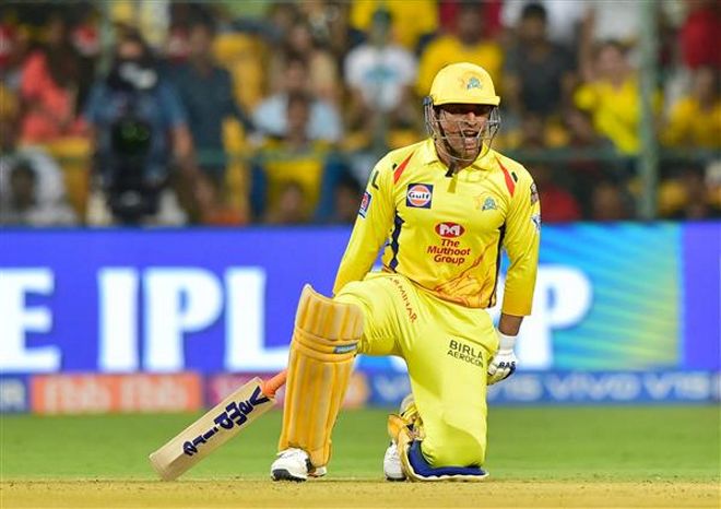 CSK expect Dhoni to be part of IPL till 2022