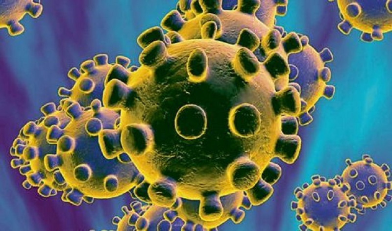 Study reveals why Covid-19 virus impacts patients differently