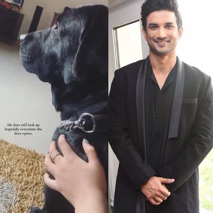 Sushant Singh Rajput’s niece shares video of his pet Fudge: ‘He does still look up hopefully every time the door opens’