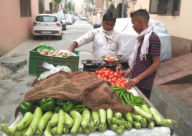 899 street vendors registered, 635 rejected in Ambala Cantt