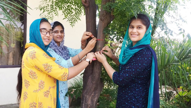 Go green: Families tie rakhis to trees, pledge to preserve them