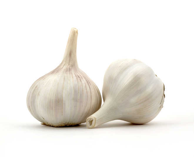Sirmaur’s garlic identified under ‘1 District, 1 Product’