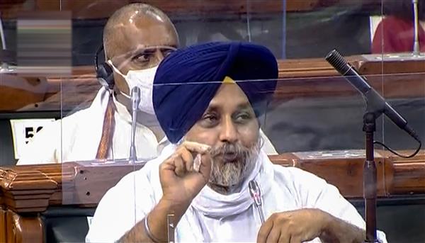 Not consulted before 3 agri-ordinances: BJP ally Akali Dal; govt says states were in the loop