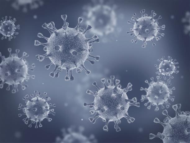 Scientists find evidence of virus-eating microorganisms