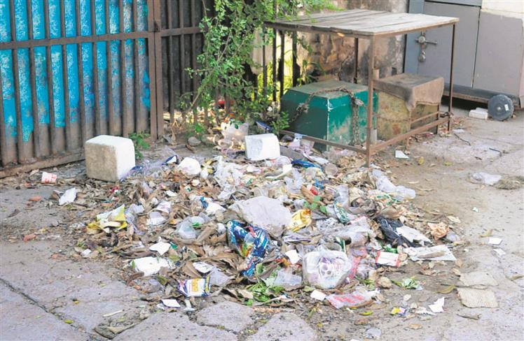 Patiala residents to segregate waste or pay fine