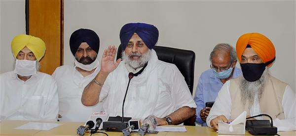 Farm bills can have disastrous implications for national economy: Sukhbir Badal