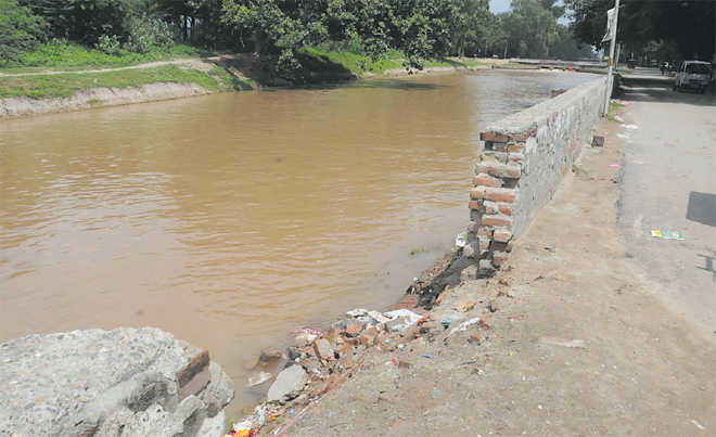 Bihar man digs 5-km canal to bring water to his village