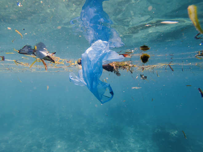 Global plastic production up by 60 MMT in 5 years: Researcher