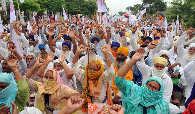 Haryana farmers protest delay in procurement of paddy, block highway