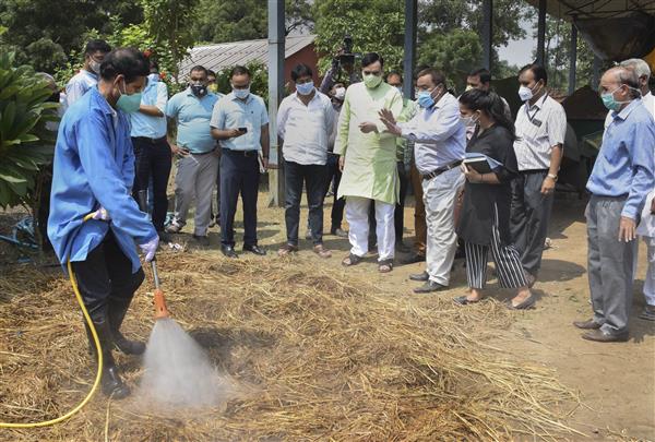 Stubble burning: Gopal Rai says Pusa institute’s bio-decomposer can help reduce pollution