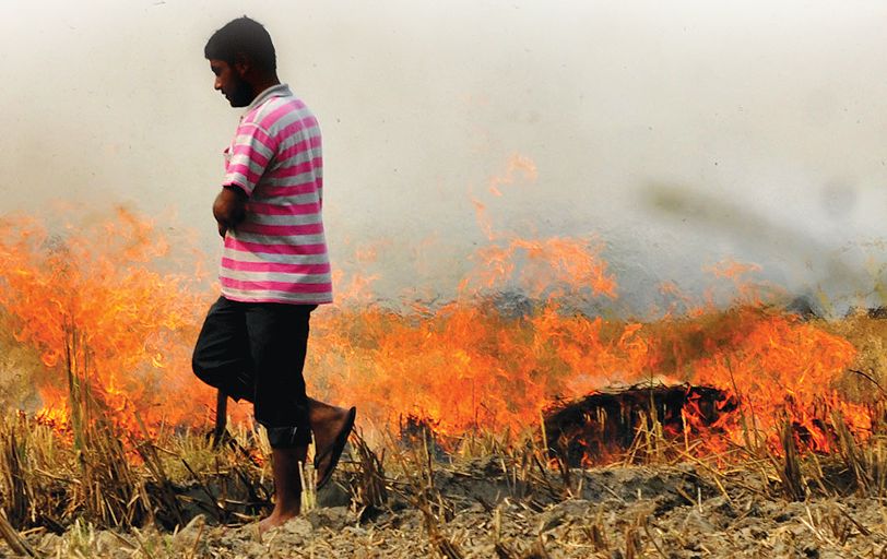 Punjab prepares to check stubble-burning
